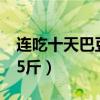 连吃十天巴豆能瘦多少（吃了巴豆一天瘦了15斤）