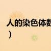 人的染色体数目为多少吨（人类染色体多少对）