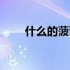 什么的菠萝填形容词（什么的菠萝）