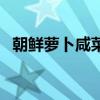朝鲜萝卜咸菜冷冻保存吗（朝鲜萝卜咸菜）