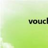 voucher怎么记（voucher）