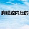 胸膜腔内压的概念及生理意义（胸膜腔内压）