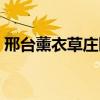 邢台薰衣草庄园游玩时间（邢台薰衣草庄园）