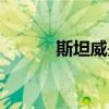 斯坦威是哪个国家的（斯坦威）