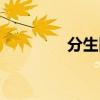 分生区细胞特点（分生区）