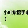 小叶紫檀手串价格及图片（小叶紫檀手串价格）