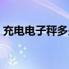 充电电子秤多少钱一台（电子秤多少钱一台）