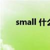 small 什么意思（smaller什么意思）