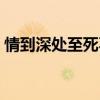 情到深处至死不渝全诗（情到深处至死不渝）