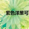 紫色洋葱可以生吃吗（洋葱可以生吃吗）