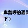卑留呼的通灵兽叫什么(卑留呼的通灵兽女手下) 卑留呼的通灵兽叫什么(卑留呼的通灵兽女手下)