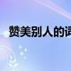 赞美别人的词语两个字（赞美别人的词语）