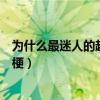 为什么最迷人的越危险是什么歌（为什么越迷人的越危险的梗）