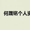 何晟铭个人资料几岁了（何晟铭个人资料）