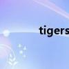 tigers legend品牌（tigers）