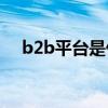 b2b平台是什么意思（平台是什么意思）