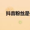抖音粉丝是什么意思（粉丝是什么意思）