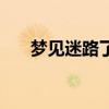 梦见迷路了找不到家了（梦见迷路了）