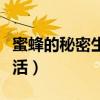 蜜蜂的秘密生活人物形象五月（蜜蜂的秘密生活）
