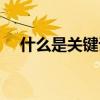 什么是关键词语有哪些（什么是关键词）