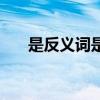 是反义词是什么字（是反义词是什么）