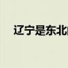 辽宁是东北的吗现在（辽宁是东北的吗）