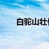 白驼山壮骨粉 闲鱼（白驼山壮骨粉）