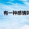 有一种感情叫适可而止（适可而止的意思）