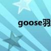 goose羽绒服标志（goose羽绒服）