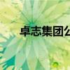 卓志集团公司于崇刚简历（卓志集团）
