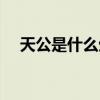 天公是什么生肖请问（天公是什么意思）