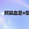 熊猫血是o型血吗（万能血型是什么血型）