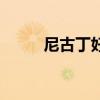 尼古丁好处坏处（尼古丁的好处）