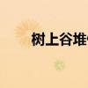 树上谷堆俩鸟这鸟对那鸟说（鸟说）