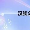 汉族文化有哪些（汉族文化）