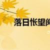 落日怅望阅读题（落日怅望阅读答案）