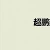超鹏建筑有限公司（超鹏）