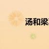汤和梁真做的证据（朋比为奸）