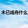 木已成舟什么意思爱情（木已成舟什么意思）