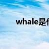 whale是什么意思（wh是什么意思）