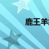 鹿王羊绒线直销店（鹿王羊绒）