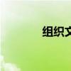 组织文化是什么（组织文化）