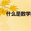什么是数学建模论文（什么是数学建模）