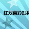 红双喜彩虹乒乓球台价格（乒乓球台价格）