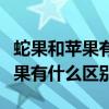 蛇果和苹果有什么区别口感哪个好（蛇果和苹果有什么区别）