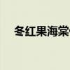 冬红果海棠什么时候开花结果（冬红果）