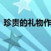珍贵的礼物作文400字（礼物的作文400字）
