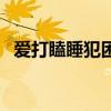 爱打瞌睡犯困是什么毛病（打瞌睡怎么办）