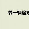 养一辆途观一年费用（途观养车费用）