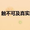 触不可及真实故事改编（触不可及真实故事）